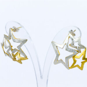 Earrings in 925 Silver