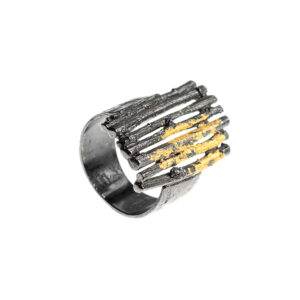 Silver Oxidized Ring with 18K Gold Details